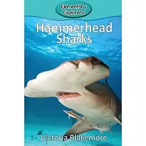 Hammerhead Sharks