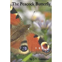 The Peacock Butterfly