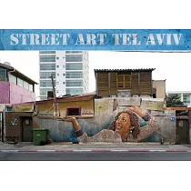 Street Art Tel Aviv： In a Time of Transition. Curated， Photographed and Introduced by Lord K2 and Lois Stavsky