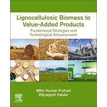 Lignocellulosic Biomass to Value─Added Products： Fundamental Strategies and Technological Advancements