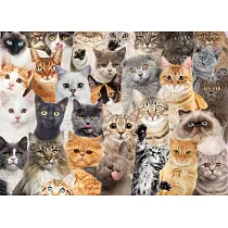 All the Cats 500 Piece Jigsaw Puzzle