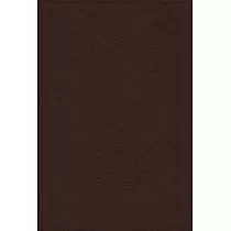 Nrsvue， Holy Bible with Apocrypha， Leathersoft， Brown， Comfort Print