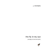 The Fly in My Eye
