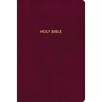KJV Rainbow Study Bible， Burgundy Leathertouch， Indexed