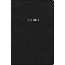 KJV Rainbow Study Bible， Black Leathertouch， Indexed