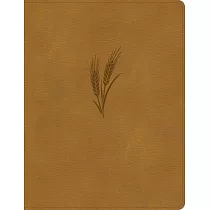 CSB Notetaking Bible， Large Print Edition， Camel Leathertouch