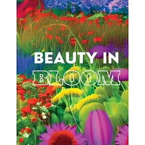 Beauty In Bloom