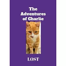 The Adventures of Charlie： Lost