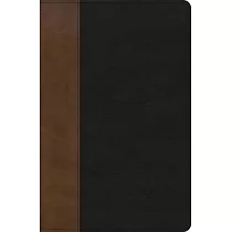 KJV Personal Size Giant Print Bible， Black/Brown Leathertouch， Indexed