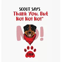 Scout Says： Thank You， But No! No! No!