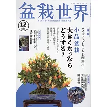 盆栽世界 12月號/2024