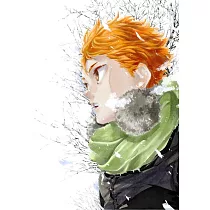 排球少年!!完全插畫精選集