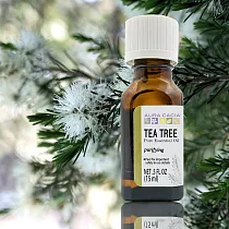 【Aura cacia】美國進口 茶樹原萃精油(15mL)