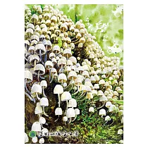 陽明山的蕈類(手繪插畫)拼圖108片