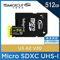 TEAM 十銓 PRO+ MicroSDXC 512GB UHS─I U3 A2 V30 記憶卡 (含轉卡+終身保固) 黑黃 黑黃
