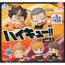 【日本正版授權】全套5款 排球少年 睡眠公仔 P3 扭蛋/轉蛋 716790 西谷夕/田中龍之介/夜久衛輔/宮侑/宮治