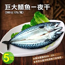 【優鮮配】北極洋海域鯖魚一夜干5尾(380g/尾)免運組
