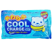 進口保冷劑─袋裝─400g─6包入