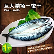 【優鮮配】北極洋海域鯖魚一夜干1尾(380/尾)任選