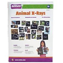 ROYLCO|動物X光片