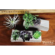 【YACHT 遊艇精品文創】樟木 . 花器 (雙盆)──(不包含植物)雙盆有樹皮