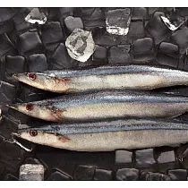【吉品養生】安心水產_秋刀魚(550g/3─4尾)