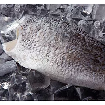 【吉品養生】安心水產_鱸魚片(小)(225g)