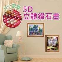 DIY歐風5D立體鑽石畫 D款*2