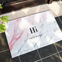 【Caldo卡朵生活】HI大理石紋玄關刮泥線圈腳踏墊
