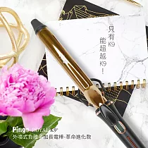 PINGO台灣品工 Royal K9 Plus 外噴式負離子加長電棒28mm
