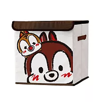 TSUMTSUM方形收納箱─五款任選 奇奇蒂蒂