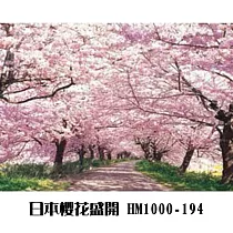 【台製拼圖】HM1000─194 夜光 日本風景─櫻花盛開2(1000片)