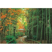 【台製拼圖】HM100─232 浪漫風景─日本竹林道 紅葉之修善寺 (1000片)