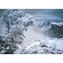 【台製拼圖】HPY0520─010 玉山風景系列 ─ 雪白的玉山積雪 (520片)