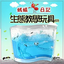 螞蟻日記生態教學玩具(中)(2入組) 2入