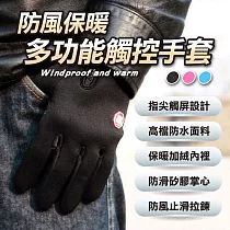 防風保暖多功能觸控手套(2雙組) 黑色L號*2