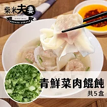 【柴米夫妻】大吃一飩─原味餛飩/青鮮菜肉餛飩(兩種口味任選5盒) 無 青鮮菜肉餛飩X5盒
