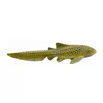 【永曄】886145 collectA 豹紋鯊