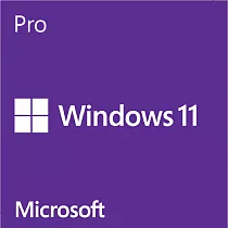 Microsoft 微軟Win Pro 11 繁中專業64位元隨機版