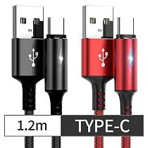 CS22 TYPE─C智能快充保護手機不發熱充電線1.2m2色(黑/紅) 紅色