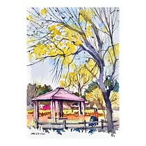 【玲廊滿藝】柴捨─?子公園黃花風鈴木26x19cm
