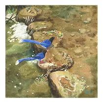 【玲廊滿藝】黃子芸Kiwi─旅伴26x26cm
