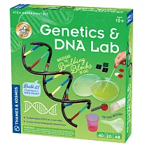 【英國T&K】越玩越聰明STEAM寶盒：德國製造 新版基礎遺傳學 基因和DNA 665007