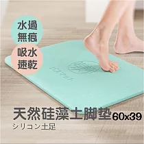 岩崎 60x39珪藻土吸水速乾地墊─L IW─008─1