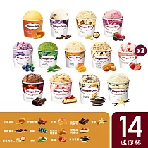 【Haagen─Dazs 哈根達斯】繽紛嘉年華迷你杯14入組