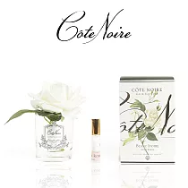 【法國 Cote Noire 寇特蘭】大朵玫瑰香氛花透明瓶(附贈10ml精油x1) 象牙白玫瑰透明瓶