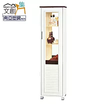 【文創集】巴莉 環保1.6尺南亞塑鋼單門高展示櫃/收納櫃 時尚雙色