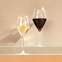 《VEGA》Amilia紅酒杯 | 調酒杯 雞尾酒杯 ─ 500ml