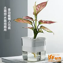 【iSFun】懶人園藝*自動吸水透視水土培花盆 白