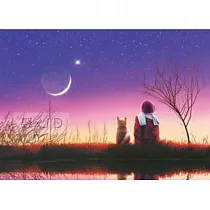 【台製拼圖】星天日和─秋─月色 (夜光) 520片拼圖 HM520─093